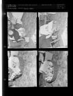 Siamese Kittens (4 Negatives (February 19, 1955) [Sleeve 43, Folder c, Box 6]